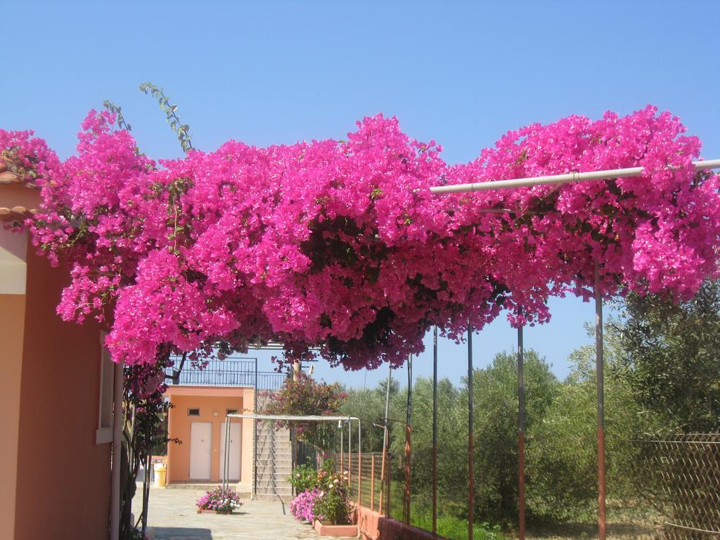 Paradise Studios Svoronata Buitenkant foto